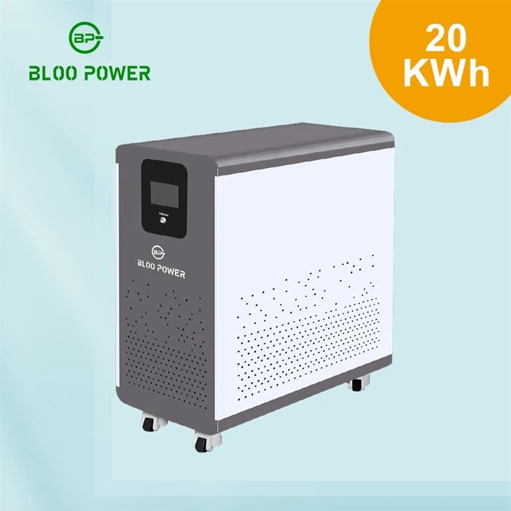 battery with BMS system